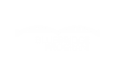 logo of Blue Bridge Program, a professional development program at UMRFV